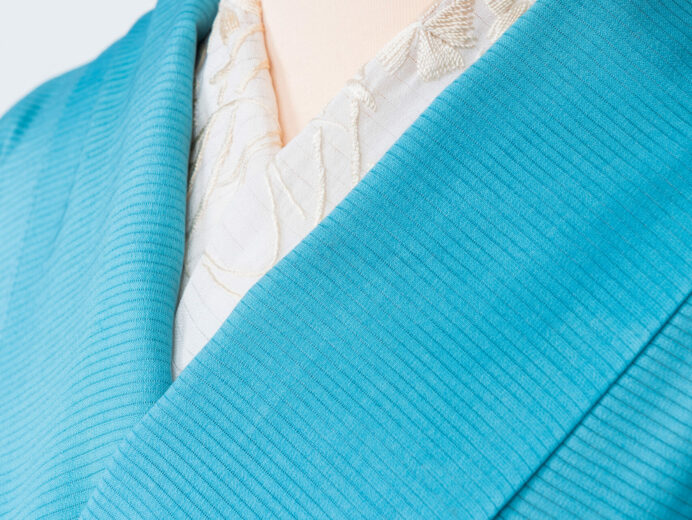ブルーグリーンの横絽に白鷺の夏用五つ紋付色留袖◆【tom29】